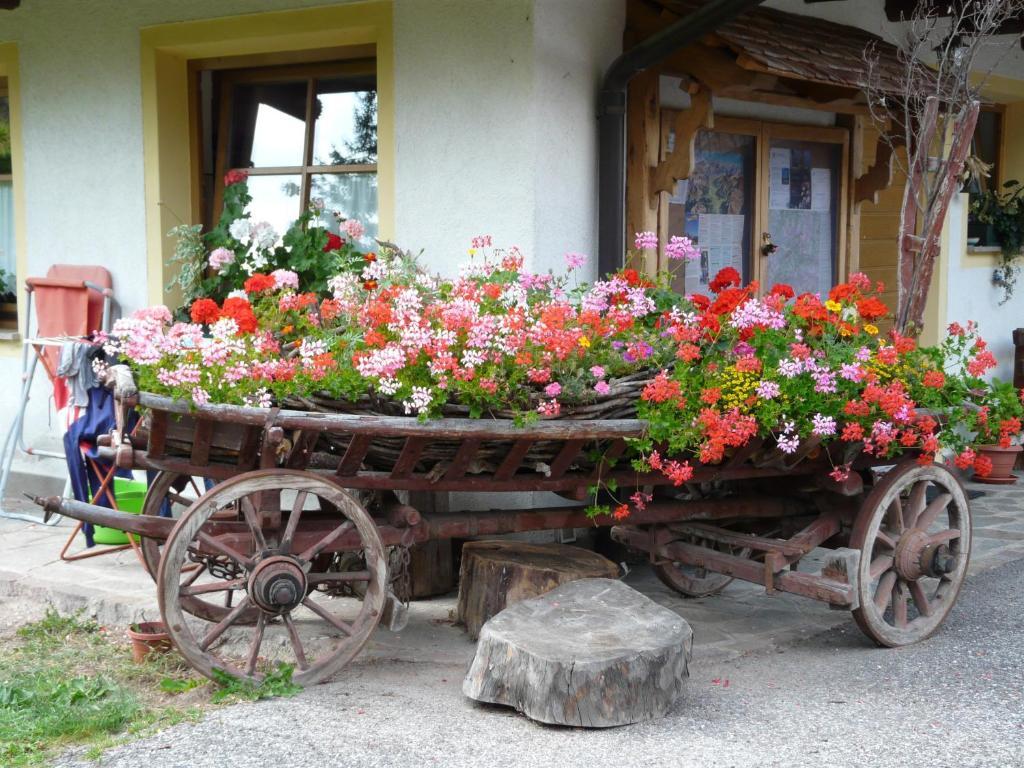 소라가 Agritur Ciasa Do Pare 빌라 외부 사진